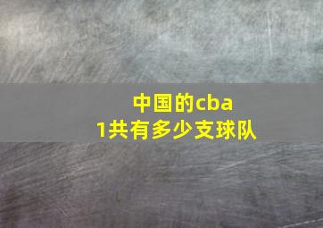 中国的cba 1共有多少支球队